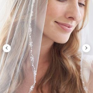 David’s Bridal BNWT veil